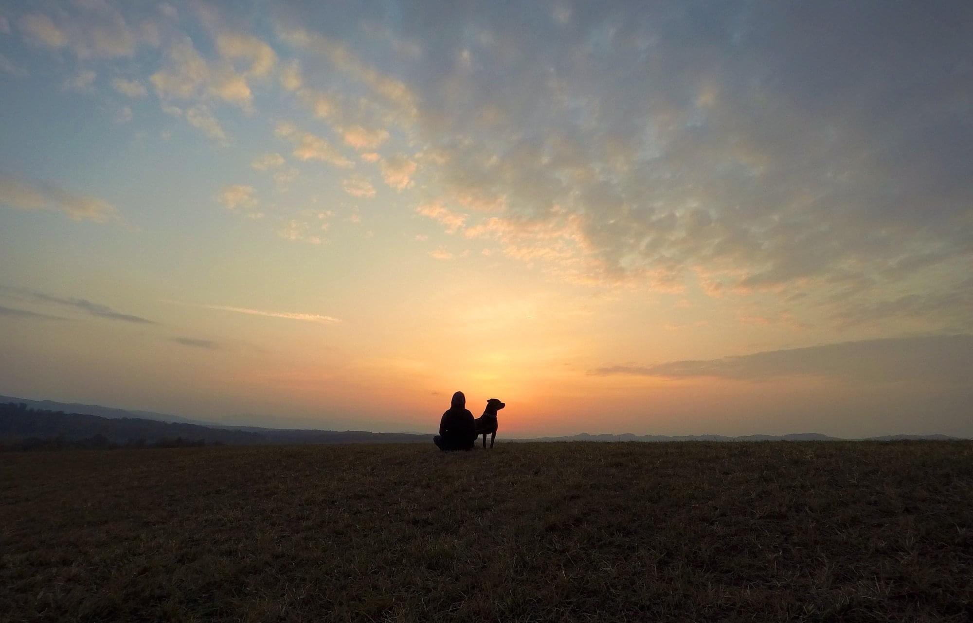 Person and dog on the grounds, at sunset